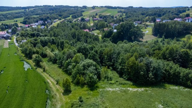 Działka rolno-budowlana Harta. Zdjęcie 6