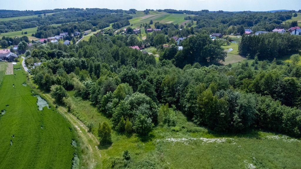 Działka rolno-budowlana Harta. Zdjęcie 6