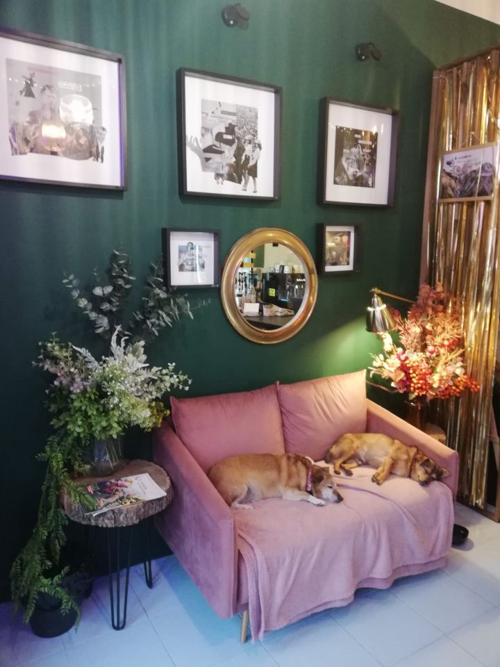 Lokal Kraków Grzegórzki, ul. Widok. Zdjęcie 2