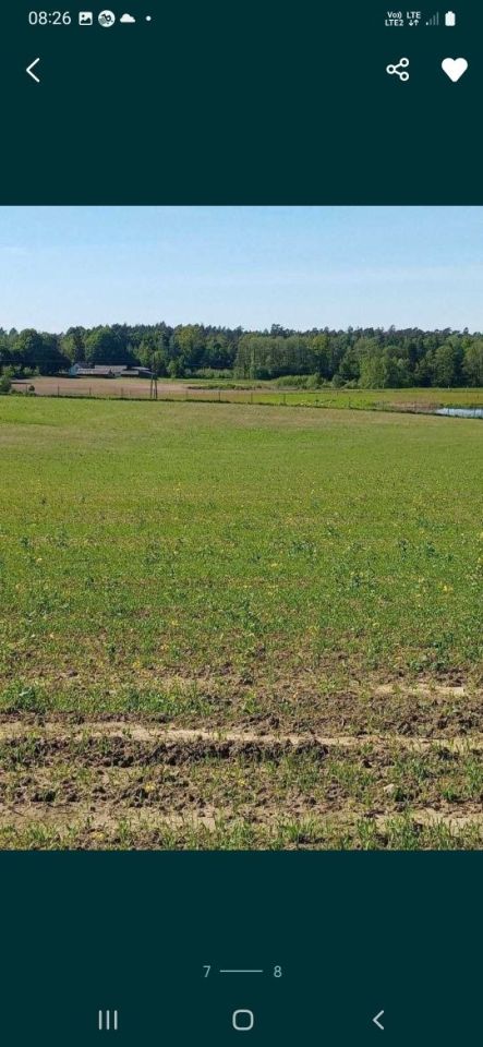 Działka rolna Karłowo. Zdjęcie 4