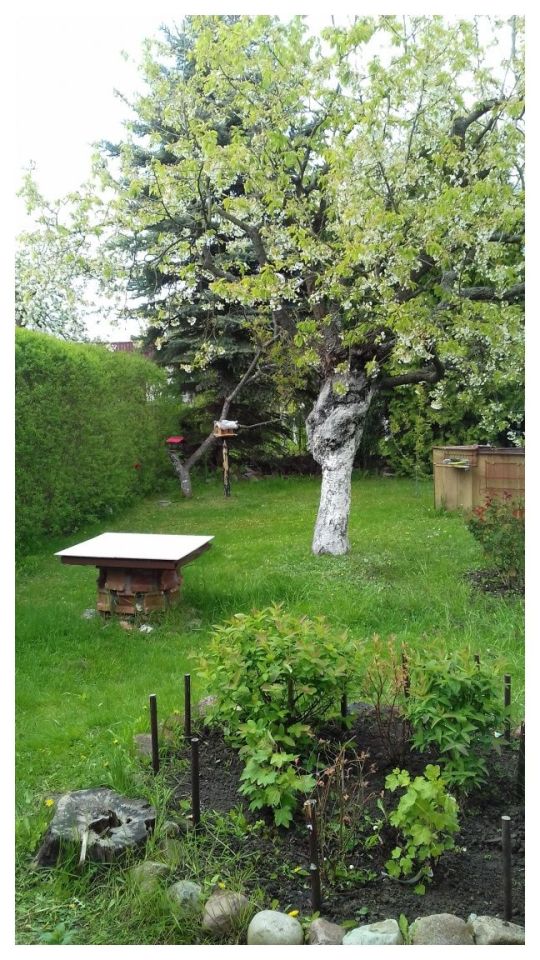 Działka rod Grudziądz. Zdjęcie 3