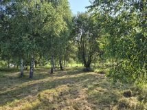 Działka rolno-budowlana Olchowa. Zdjęcie 1