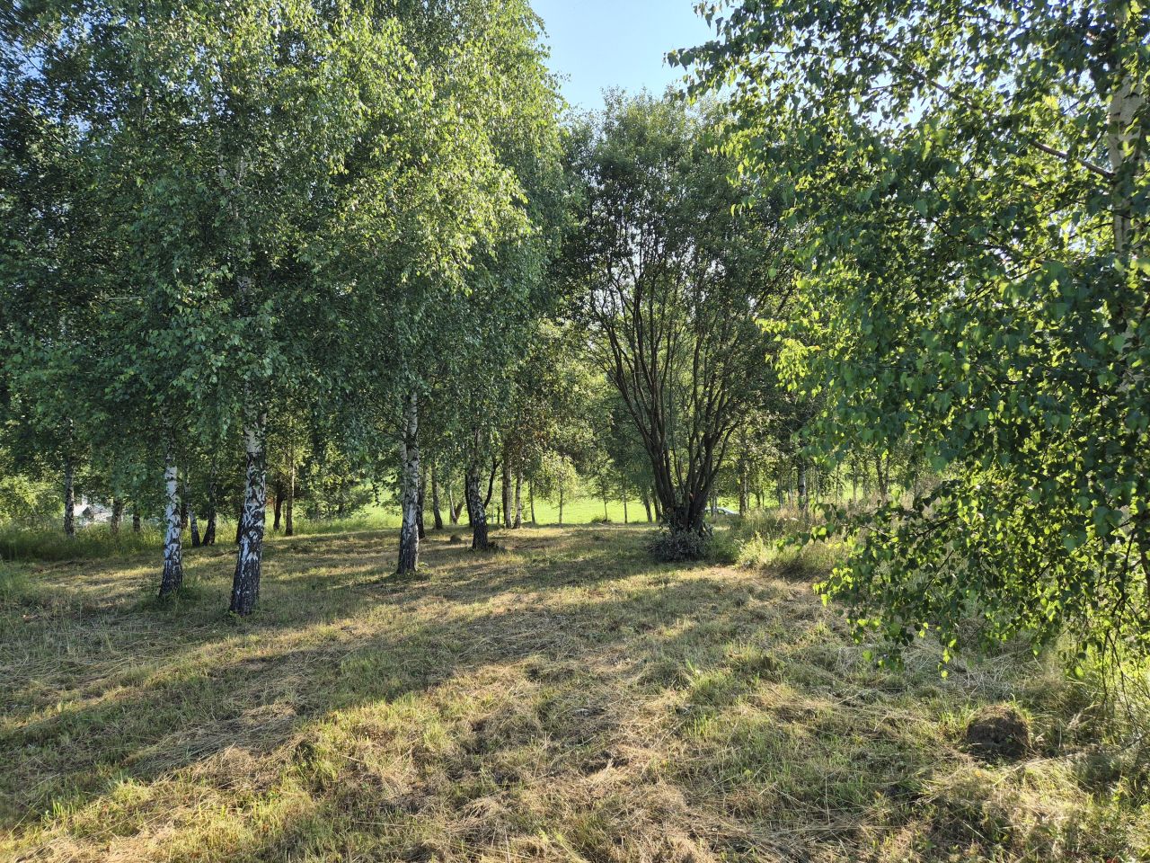 Działka rolno-budowlana Olchowa. Zdjęcie 2