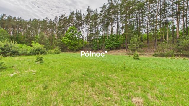Działka budowlana Dobry Las. Zdjęcie 13