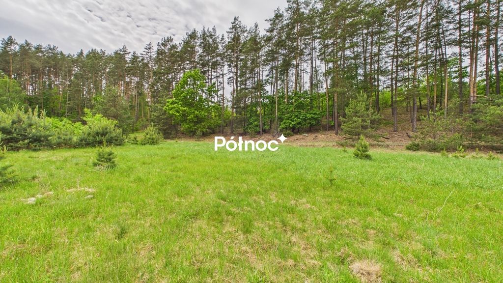 Działka budowlana Dobry Las. Zdjęcie 13
