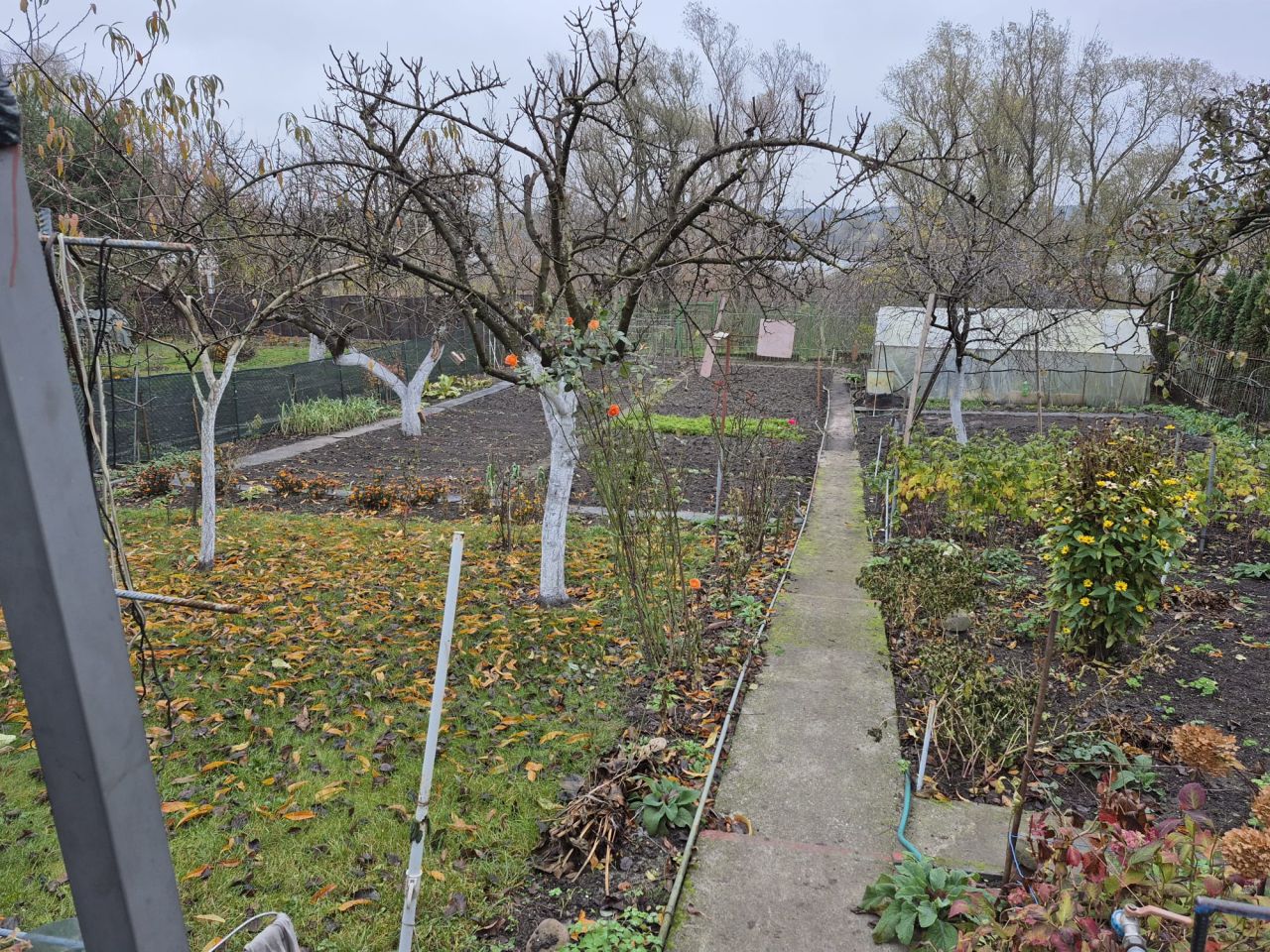 Działka rod Włocławek Zazamcze, ul. Toruńska. Zdjęcie 5