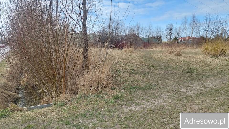 Działka inwestycyjna Reguły, ul. Żytnia. Zdjęcie 4