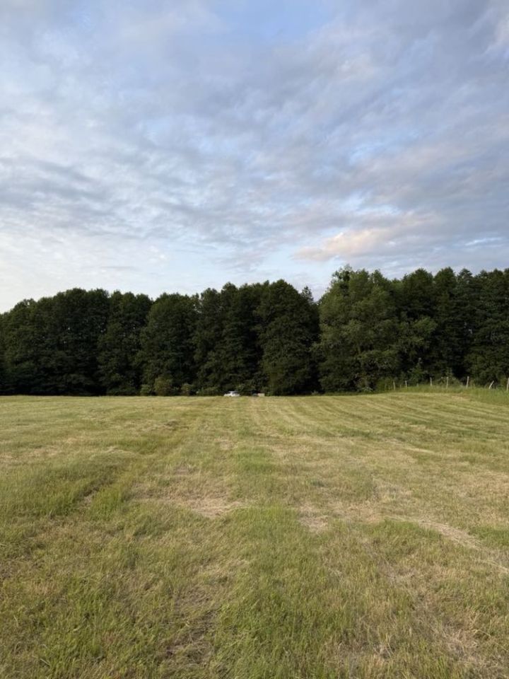 Działka rolno-budowlana Wierzbowo. Zdjęcie 2