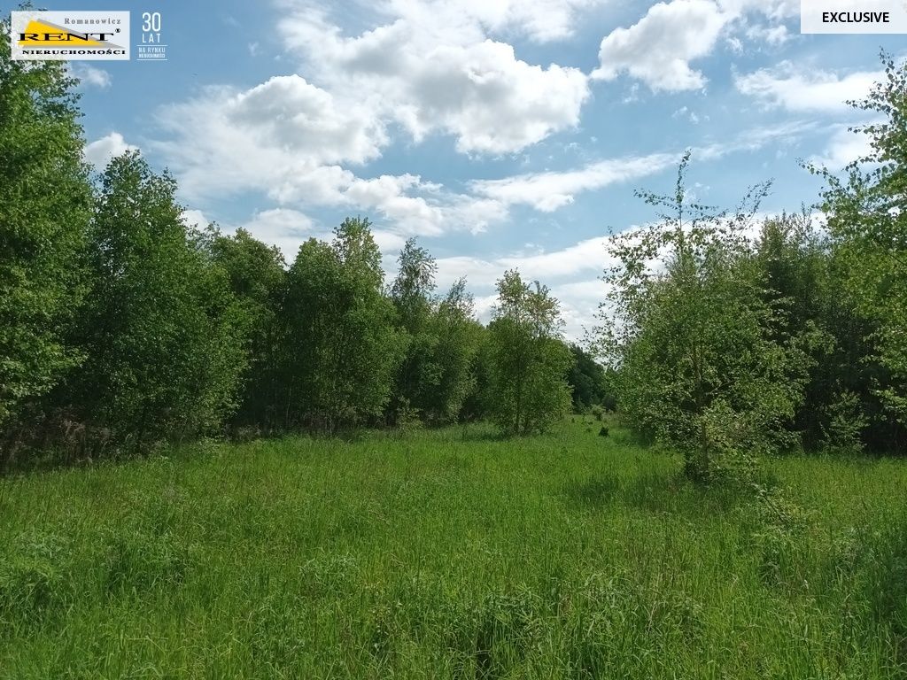 Działka rolna Binowo. Zdjęcie 12