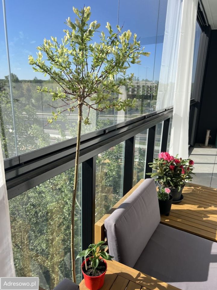 Mieszkanie 4-pokojowe Warszawa Bemowo, ul. Narwik. Zdjęcie 6