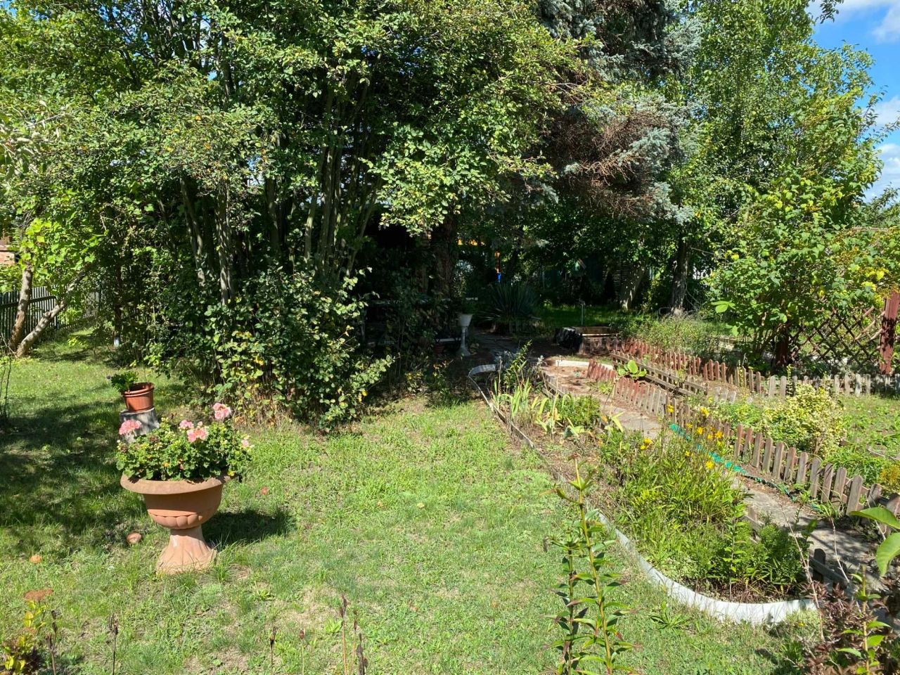 Działka rod Lubin. Zdjęcie 6