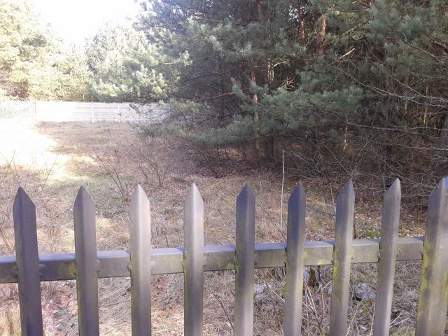 Działka budowlana Borków. Zdjęcie 1