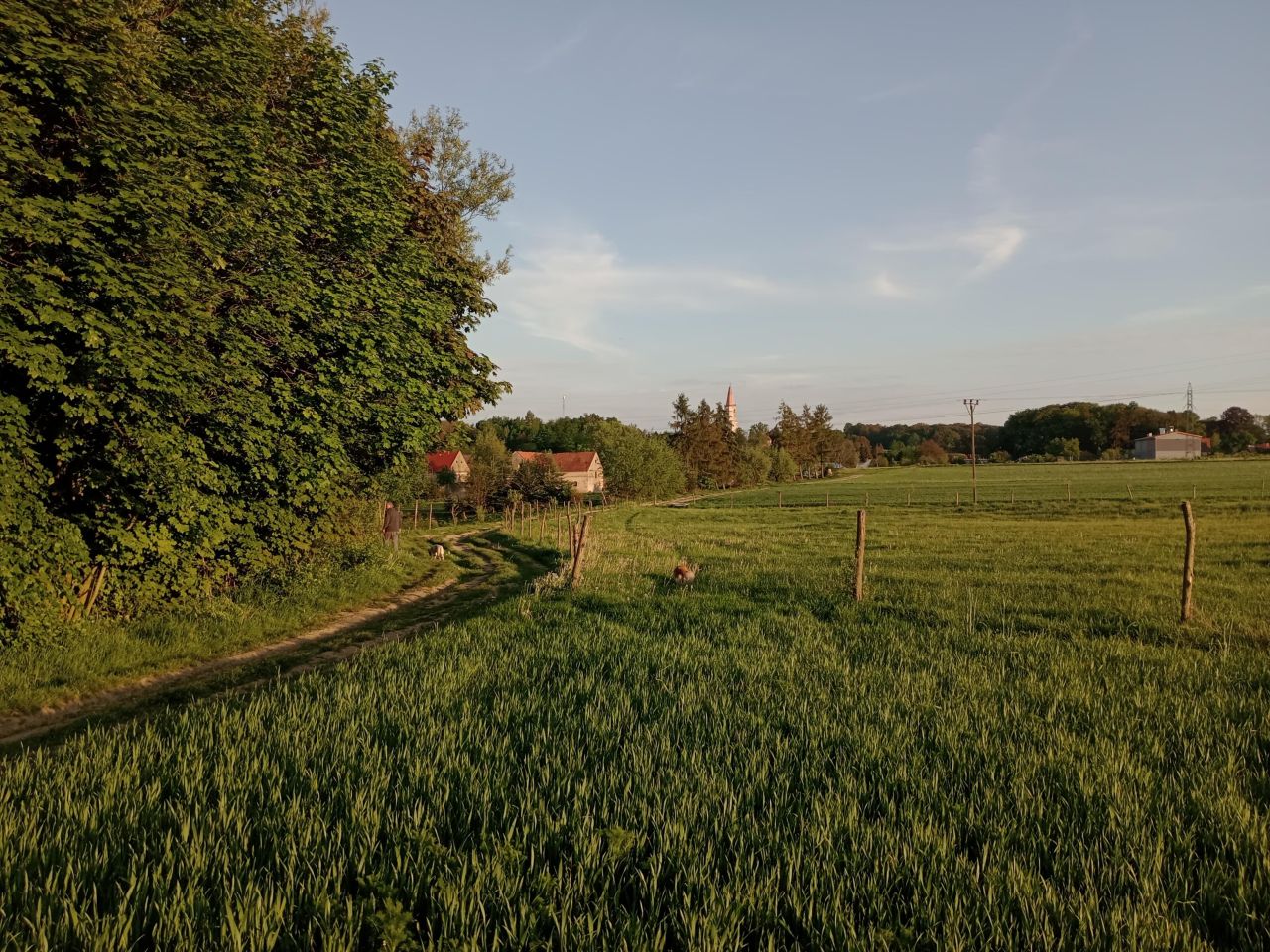 dom wolnostojący, 8 pokoi Radostów Średni, Radostów Średni. Zdjęcie 31