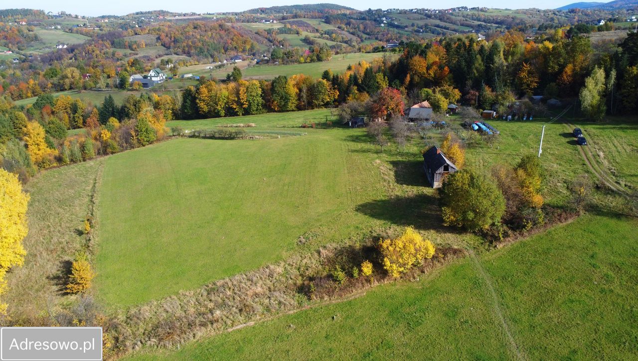Działka budowlana Sadek. Zdjęcie 8