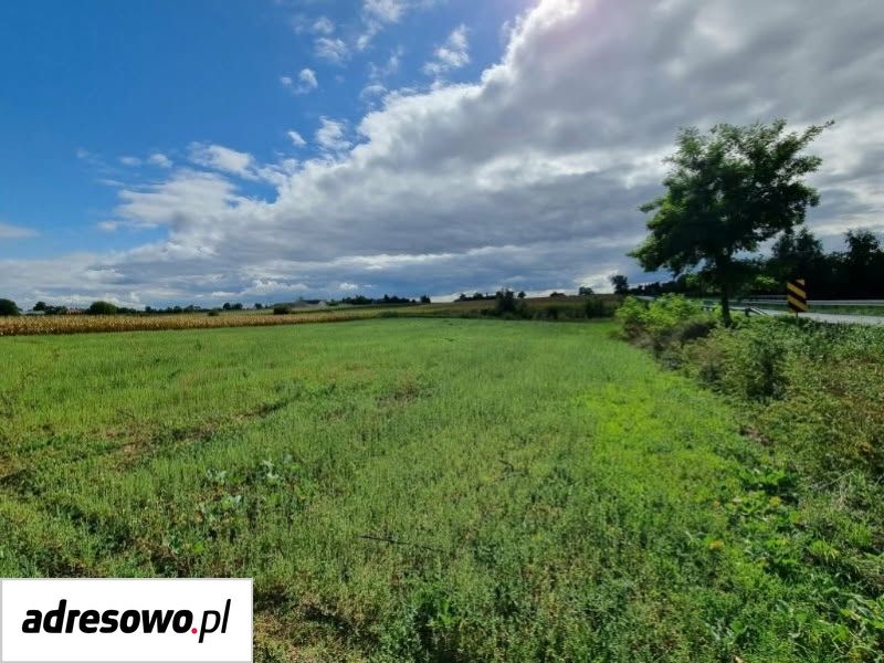 Działka Rojewo. Zdjęcie 1
