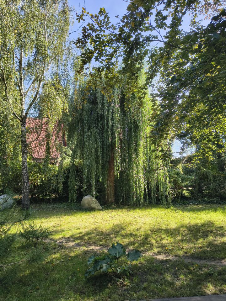 dom wolnostojący, 3 pokoje Brwinów Pszczelin, ul. Otrębuska. Zdjęcie 23