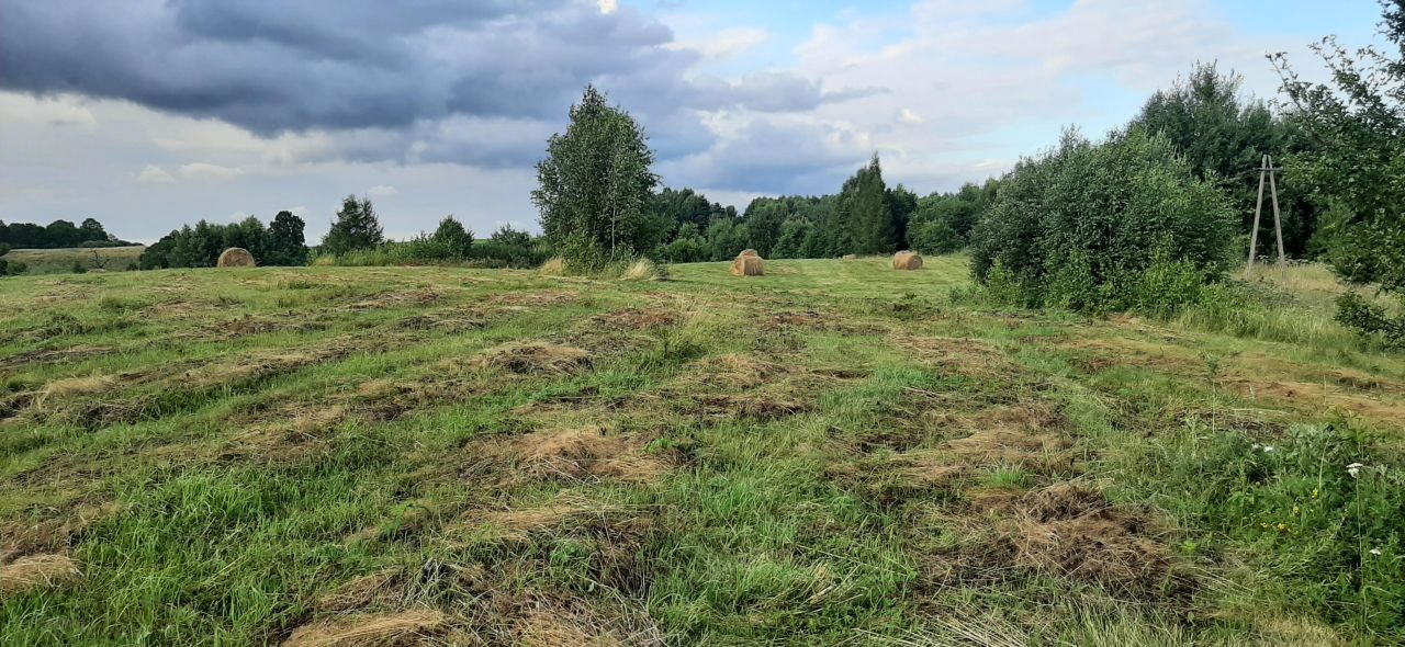 Działka siedliskowa Grotowo. Zdjęcie 4