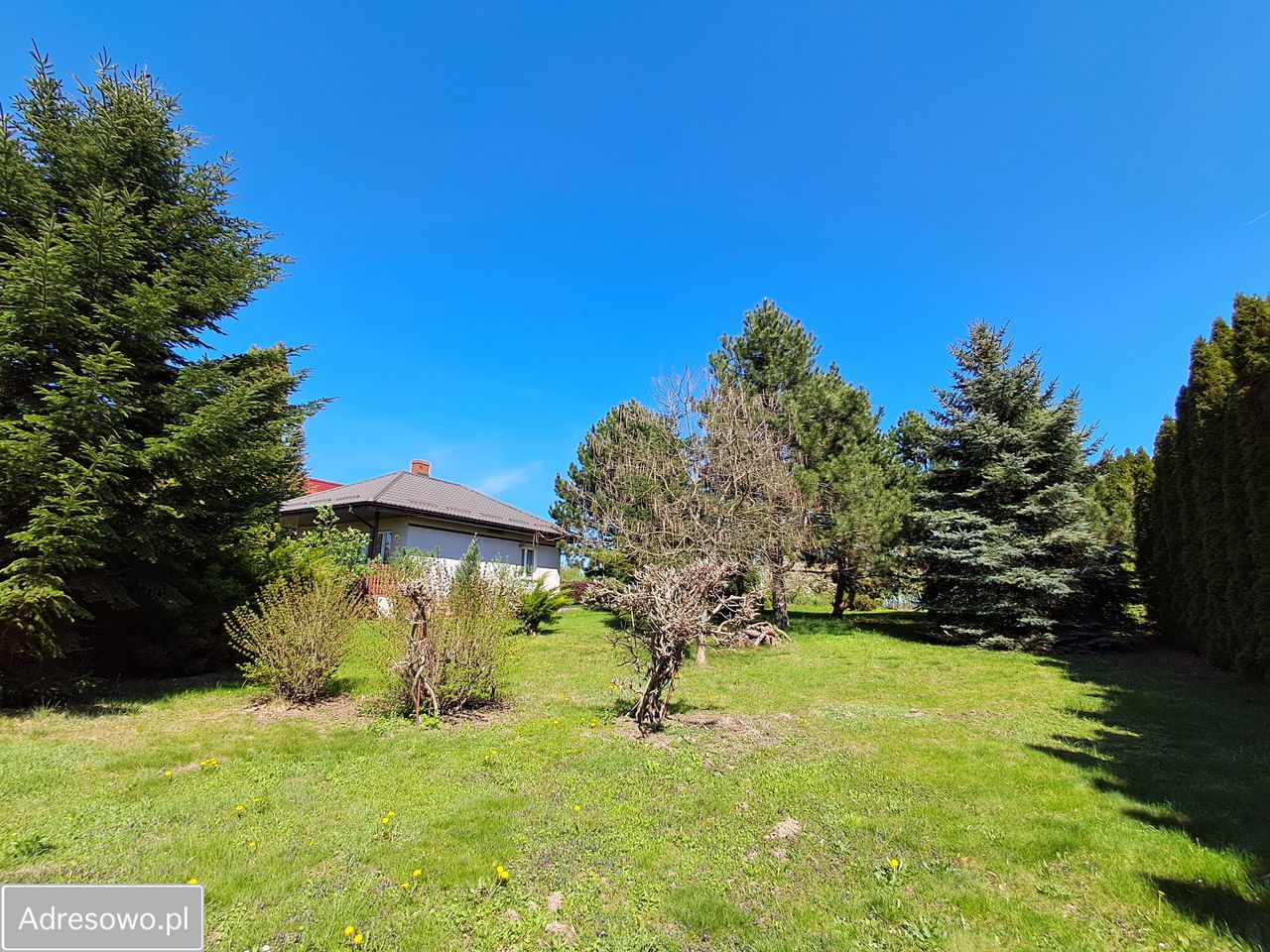 Działka budowlana Bogucin. Zdjęcie 5