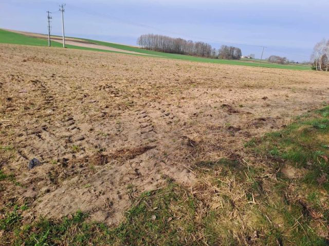 Działka rolna Górki Drugie. Zdjęcie 1