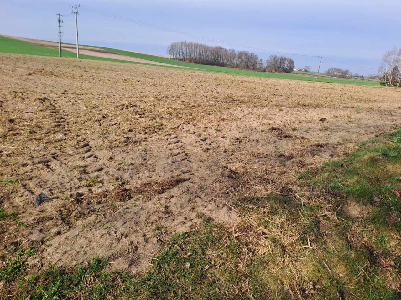 Działka rolna Górki Drugie