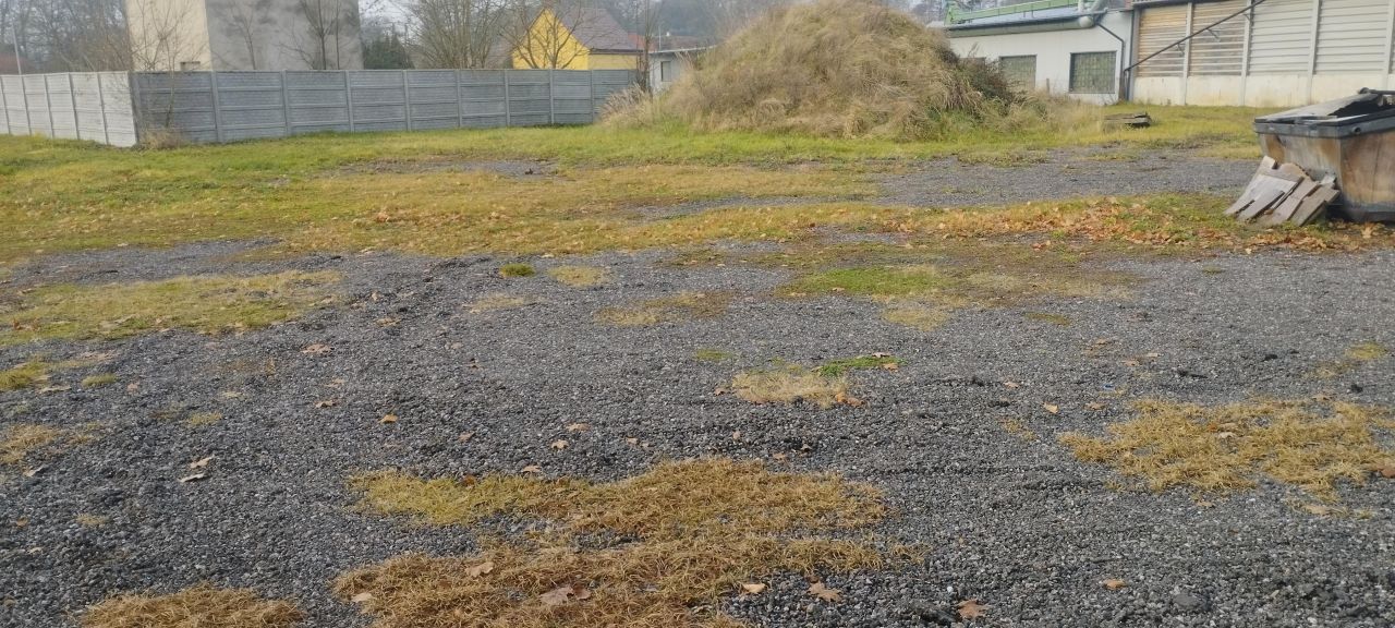 Działka inwestycyjna Pęzino. Zdjęcie 4