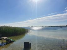 Działka rekreacyjna Kamienica. Zdjęcie 3