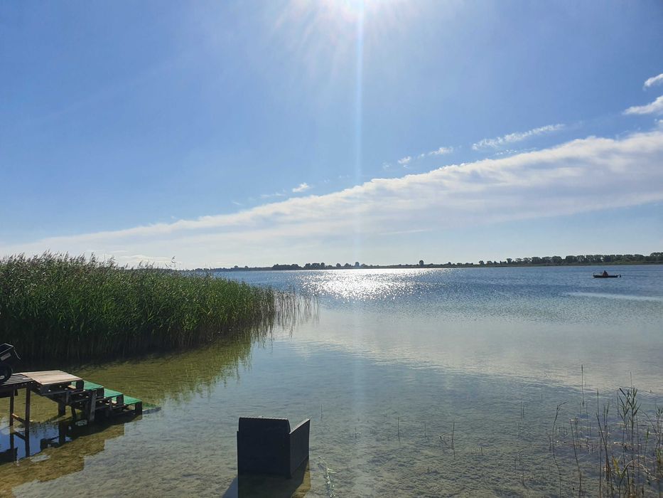 Działka rekreacyjna Kamienica. Zdjęcie 4