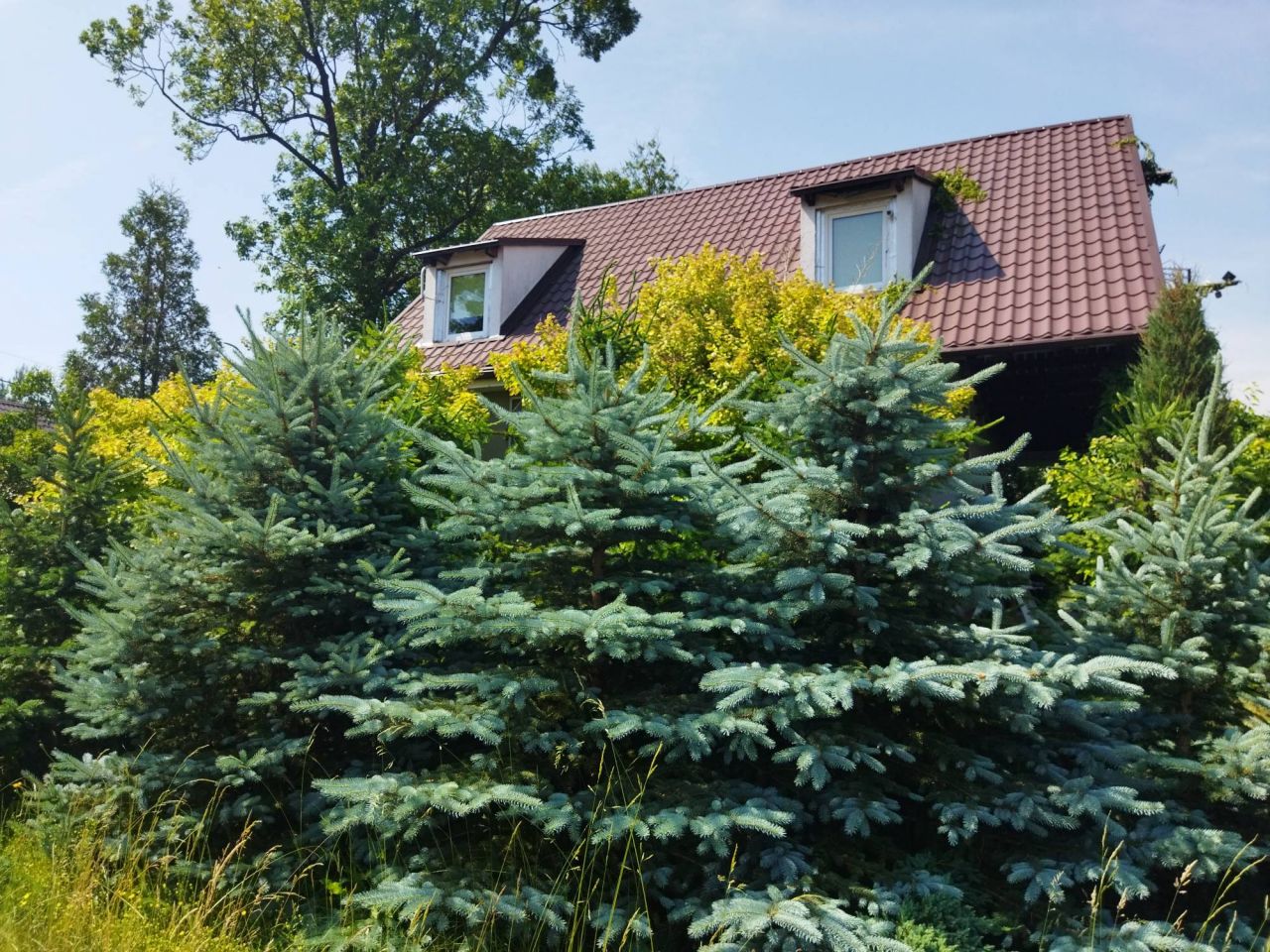 dom wolnostojący, 3 pokoje Nowa Jabłona. Zdjęcie 11