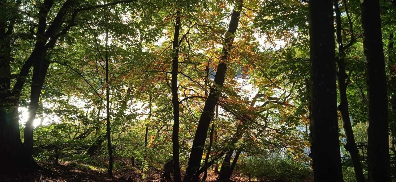 Działka budowlana Cybulin. Zdjęcie 5