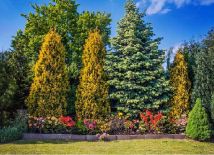 dom wolnostojący Olesno, ul. Małe Przedmieście. Zdjęcie 2