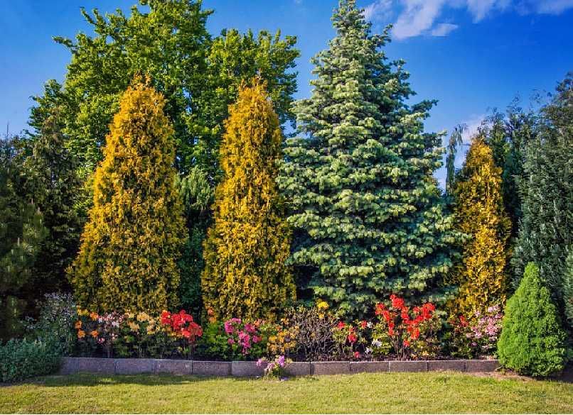 dom wolnostojący Olesno, ul. Małe Przedmieście. Zdjęcie 3