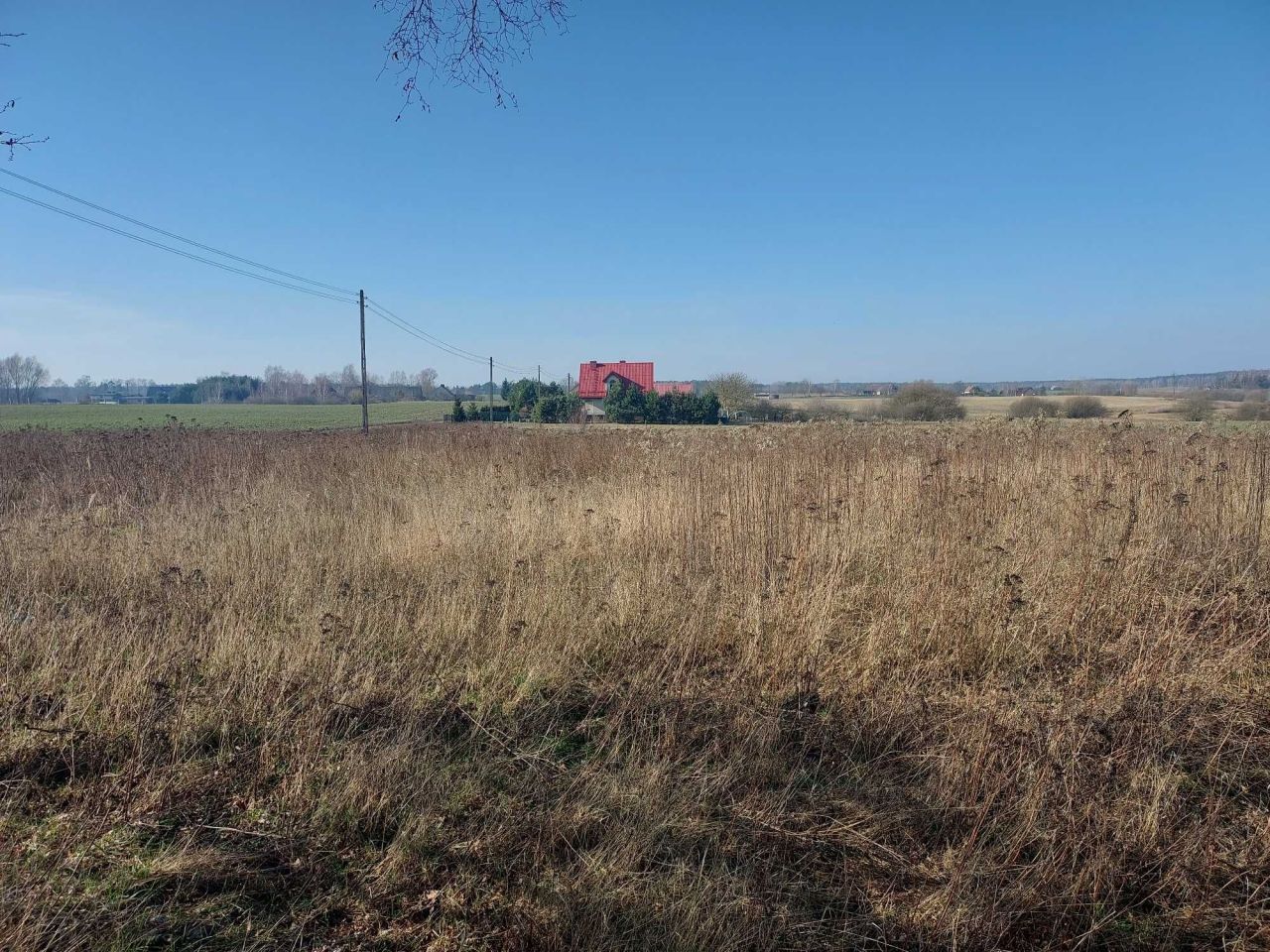 Działka rolno-budowlana Czersk Świecki
