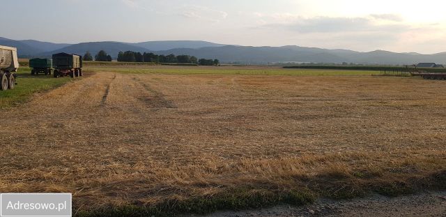 Działka siedliskowa Pieszyce Bratoszów. Zdjęcie 1
