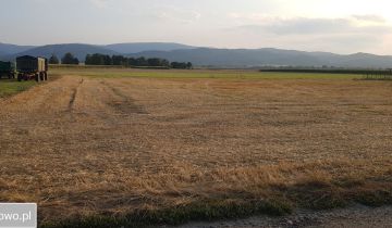 Działka siedliskowa Pieszyce Bratoszów