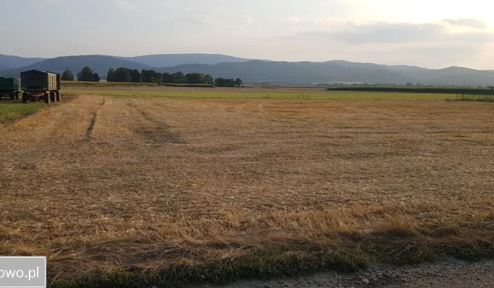 Działka siedliskowa Pieszyce Bratoszów