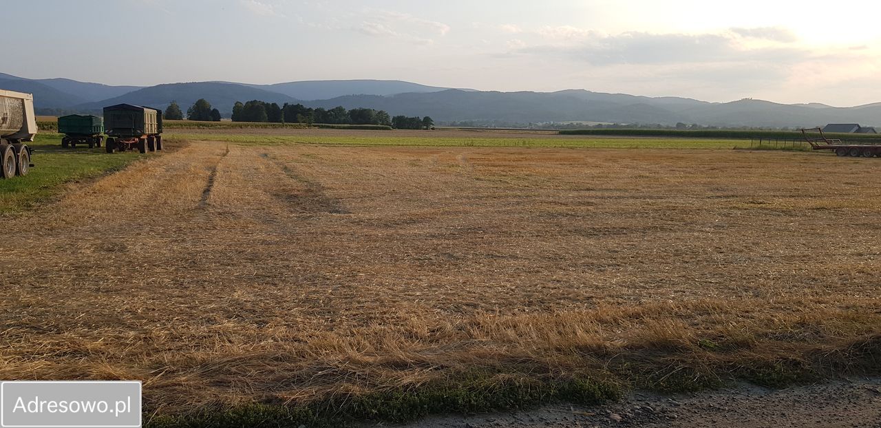 Działka siedliskowa Pieszyce Bratoszów