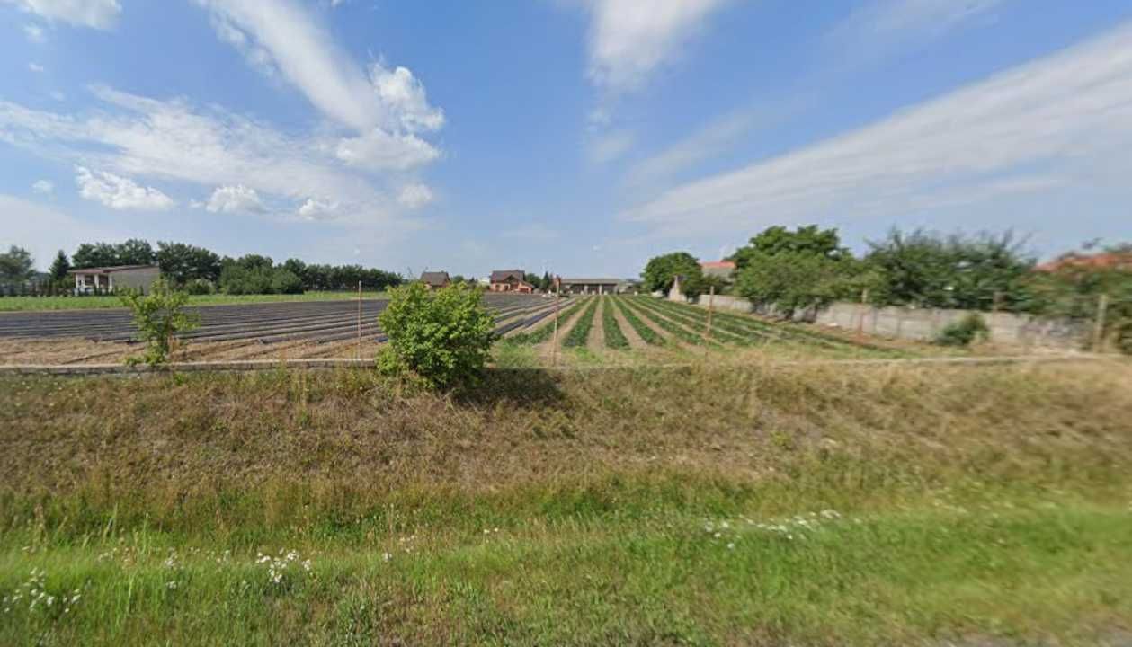 Działka budowlana Mroczeń. Zdjęcie 3