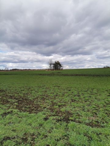 Działka rolna Będargowo. Zdjęcie 5