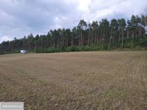 Działka budowlana Jabłowo Pałuckie. Zdjęcie 4