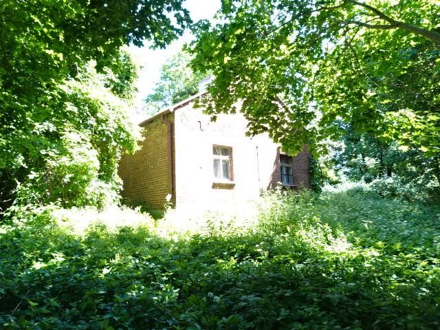 siedlisko Boguszewo, Boguszewo. Zdjęcie 12