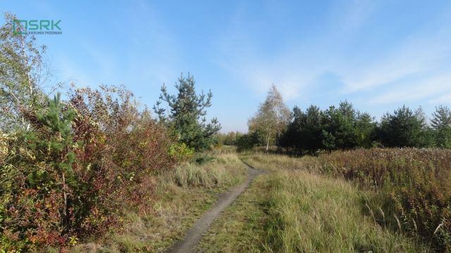 Działka Zabrze, ul. Chudowska. Zdjęcie 2