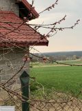 dom wolnostojący, 6 pokoi Bodziejowice. Zdjęcie 1