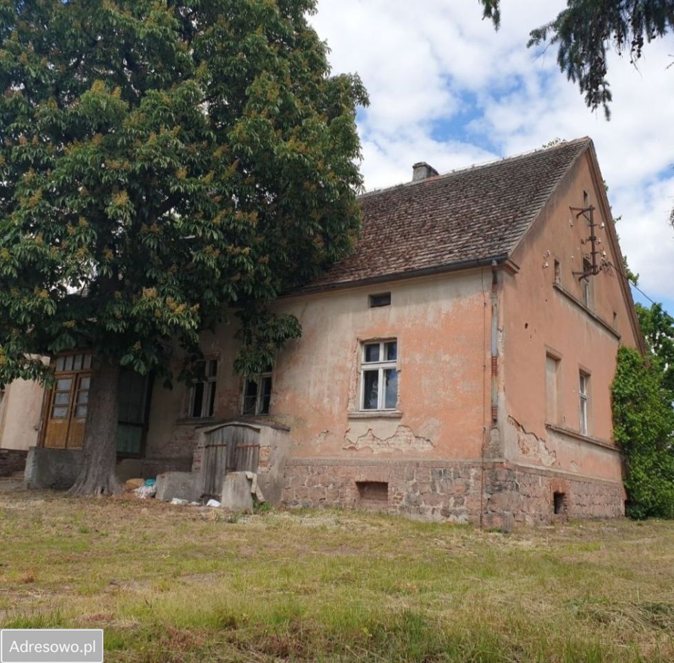 gospodarstwo, 7 pokoi Twierdzielewo. Zdjęcie 2