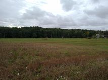 Działka rolno-budowlana Gościno. Zdjęcie 3