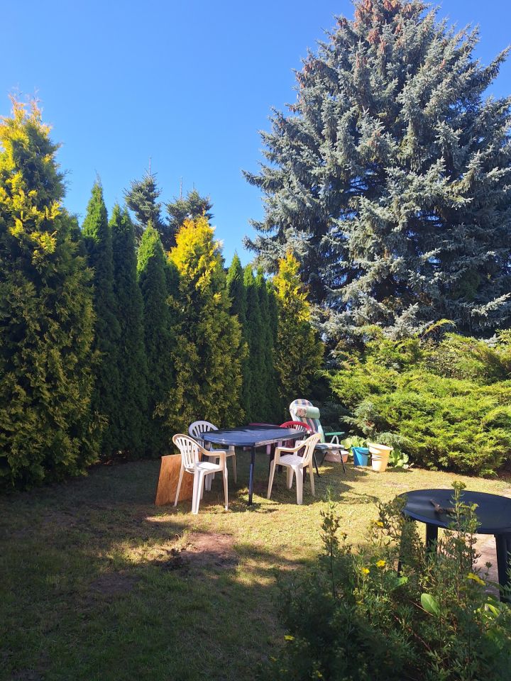 Działka rod Łódź Łagiewniki. Zdjęcie 11