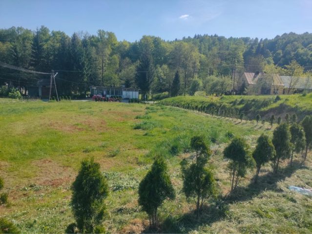 Działka budowlana Izdebki. Zdjęcie 1