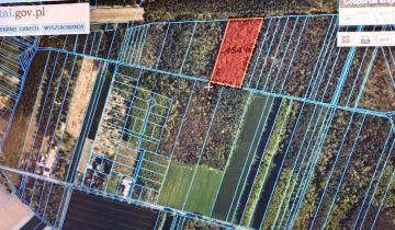 Działka leśna Jamno