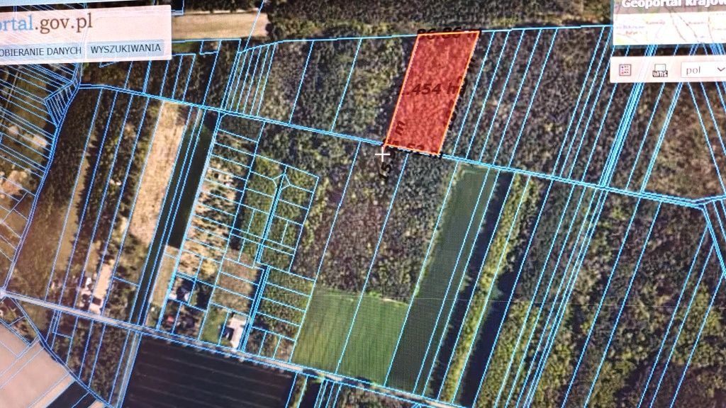 Działka leśna Jamno. Zdjęcie 2