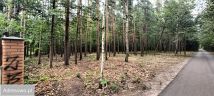 Działka leśna Warszawa Wawer, ul. Żarecka. Zdjęcie 2