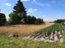 Działka rolno-budowlana Nowodwór